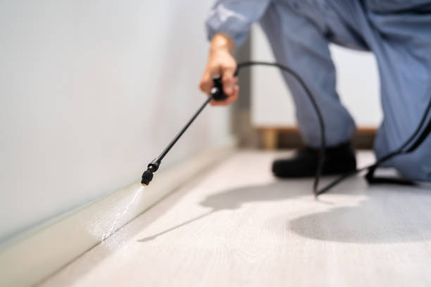 Licensed Termite Control service in Midway, FL - Show Me Pest Control